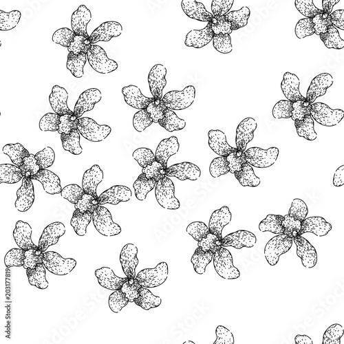 Photos seamless pattern phalaenopsis orchid hand drawn