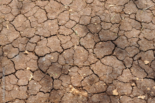 Obraz na płótnie A dry, cracked, and barren landscape with a few small patches of grass