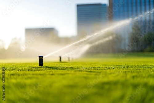 Automatic sprinkler system watering vibrant green lawn near modern office buildings on sunny summer day showcasing urban landscaping, sustainability, irrigation technology, freshness, maintenance.