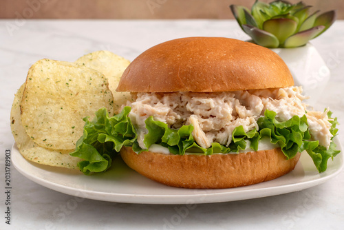 chicken salad   sandwich  with  chips