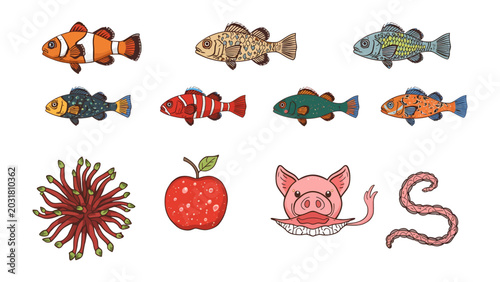 Photography Collection of Diverse Elements: A curated assortment featuring colorful fish, a vibrant apple, a playful pig, an intriguing sea creature, and a wiggly worm, showcasing a variety of distinct subjects