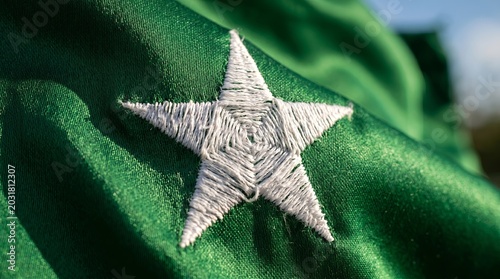 Pakistan Flag Star – Embroidered Crescent & Green Field for Art & Decor

