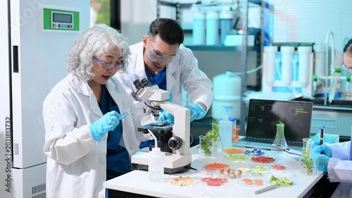 Asian scientists collaborating to research cultured meat and plant-based food alternatives using a microscope in a high tech laboratory.