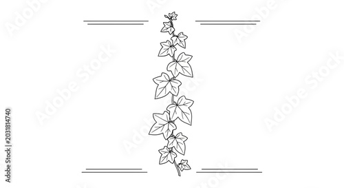 Elegant Ivy Vine Border Design Element - Vintage Botanical Illustration