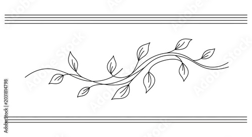 Elegant Swirls with Leaves and Double Border - Decorative Element