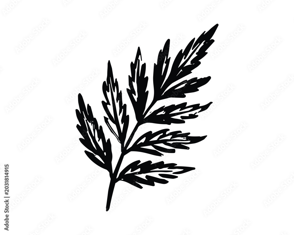 Fototapeta premium One single hand drawn plant leaf sketch art with natural shape
