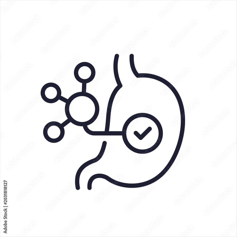 Φωτογραφία bioavailability line icon with a stomach on white