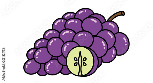 Fresh purple grapes isolated on white background for culinary and design projects