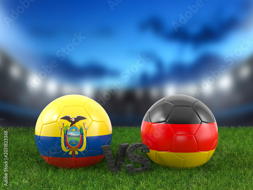 Soccer world cup group E Ecuador vs Germany