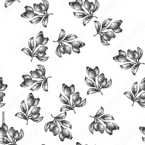 Photos seamless pattern rosehip plant leaf hand drawn
