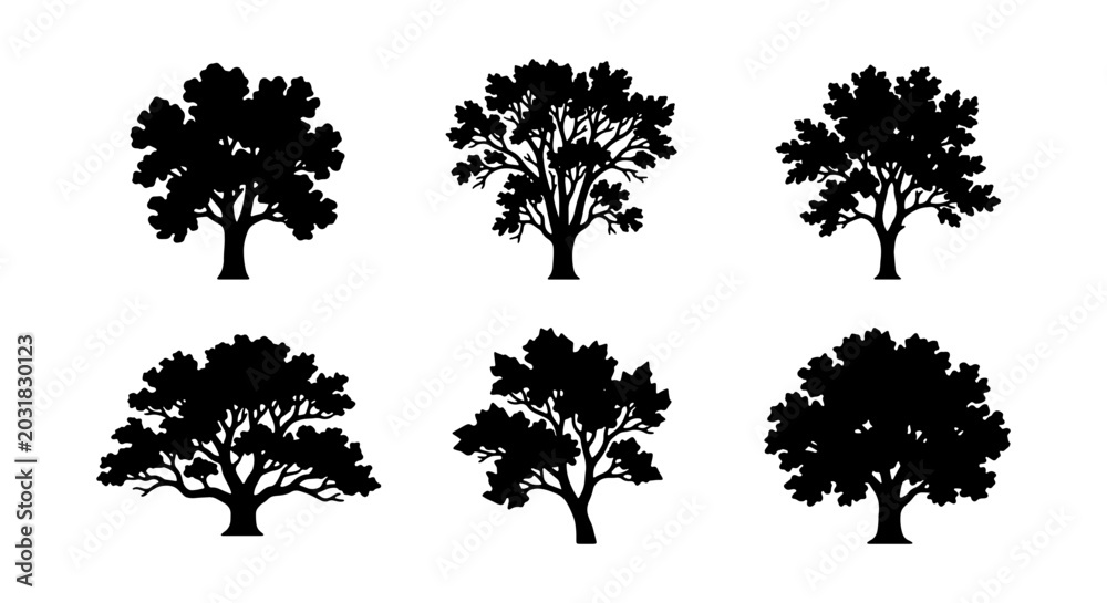 Fototapeta premium Diverse Tree Silhouettes, Vector Icons Set: Oak, Maple, Forest Elements for Nature Graphics