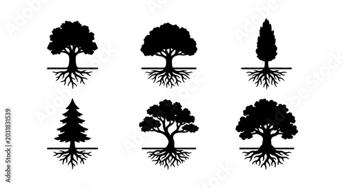 Vector Tree Silhouettes with Roots, Nature Icons, Organic Shapes, Forest Elements