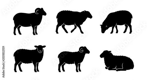 Schilderij op canvas Black Sheep Silhouettes, Farm Animals Vector Set, Livestock Icons for Agricultur