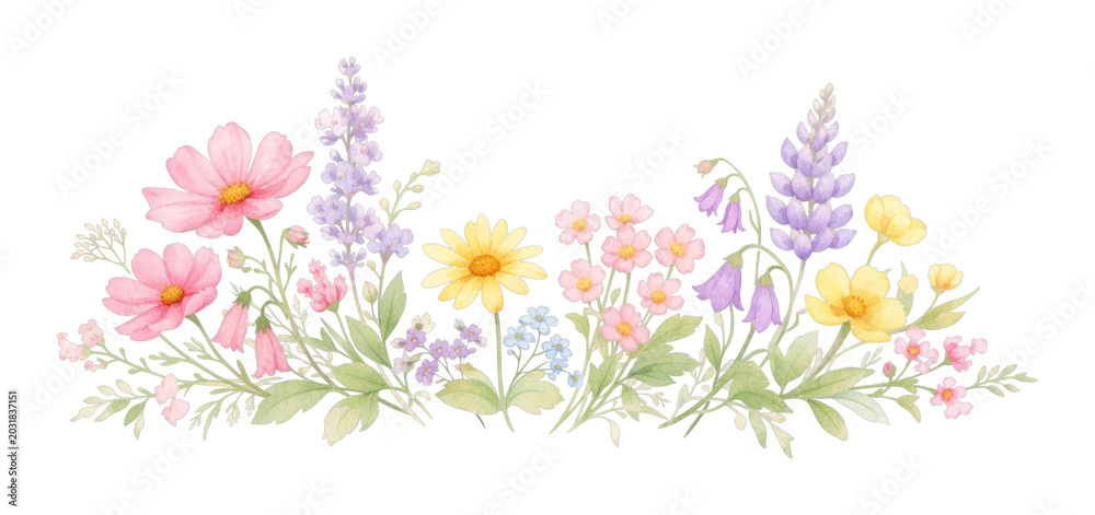 Fototapeta premium PNG Delicate watercolor floral border.