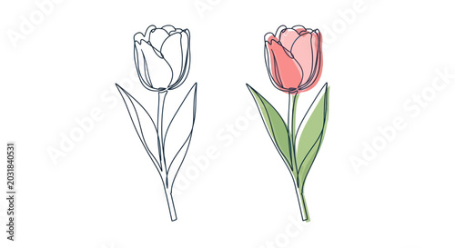 Konstfotografi Two Tulips, Outline and Watercolor Style, Isolated on White Background