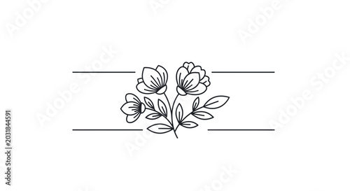 Elegant floral divider with delicate flowers and leaves, minimalist line art.