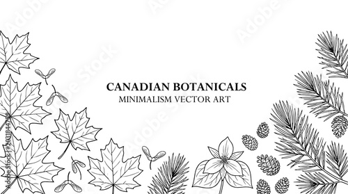 Canadian Botanical Border Illustration with Maple Leaves, Pine Branches, and Trillium. Canada style Minimalist Black and White Hand Drawn Line Art Vector for Elegant Design Projects.