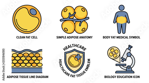 Adipose Tissue and Fat Cell Medical Icon Set