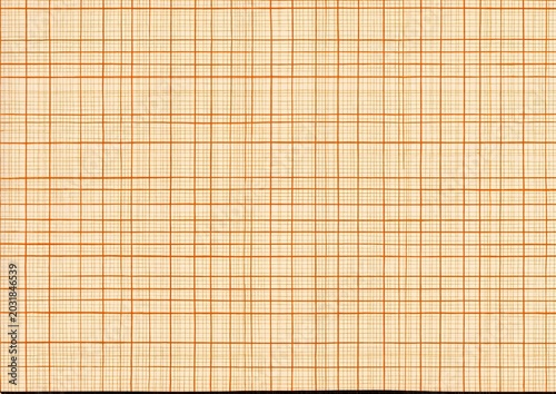 Graph Paper Texture - Detailed Grid Pattern for Technical Drawings.