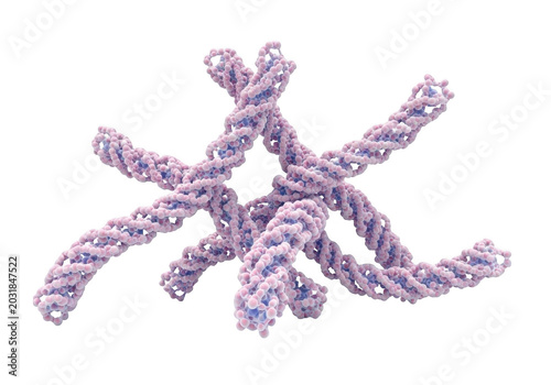 Microscopic view of light purple, twisted collagen protein fibers forming a cross-like structure against a solid black background
