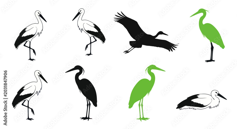 Fototapeta premium Silhouette Storks and Herons, Flying and Standing, Black and Green