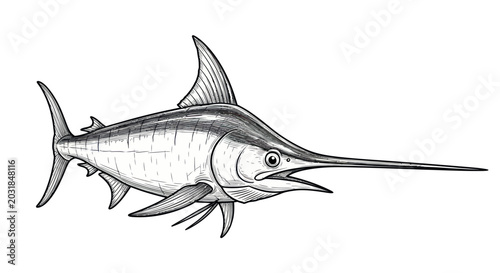 Bild auf Leinwand Detailed Swordfish Illustration, Realistic Sketch of Ocean Predator