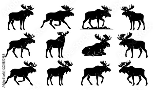 Wild moose silhouette vector collection with antlered deer animals in dynamic wildlife poses