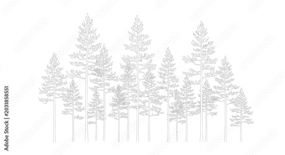 Obraz premium Minimalist Line Art of Pine Forest Silhouette, Nature Landscape Outline, Vector Trees