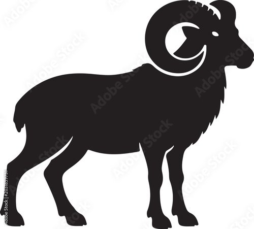 Obraz na płótnie sheep vector
