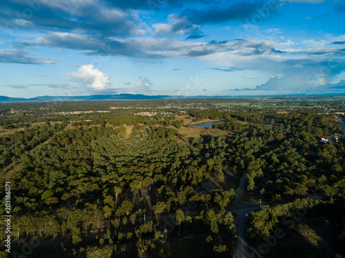 Aerial landscape looking over treetops near singleton