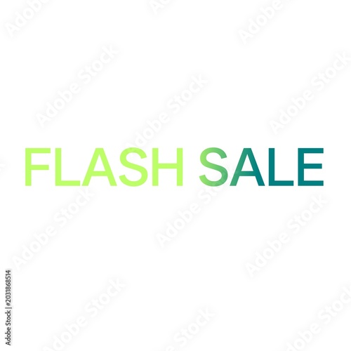 Flash Sale Green Gradient Typography Icon Limited Time Discount Promotion Text Vector Design