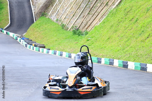 Принти на полотні The Ultimate Go-Kart Experience