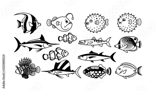 Photography Minimal black and white marine fish collection vector illustration with tropical