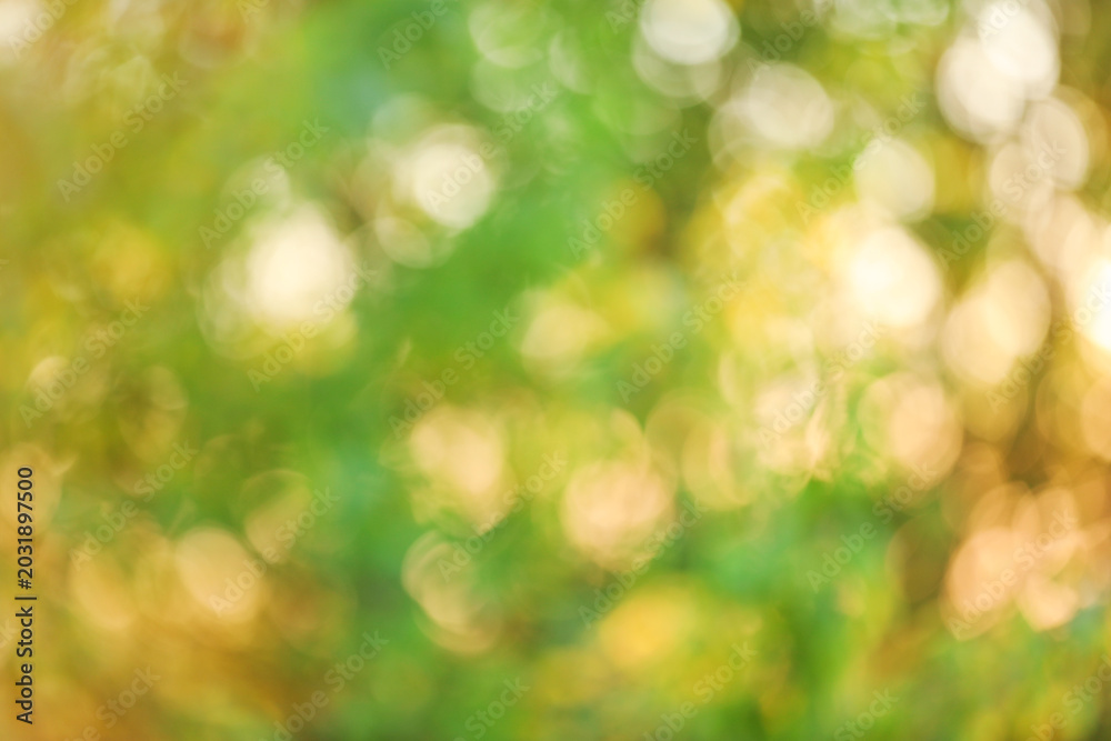 Fototapeta premium Blurred view of color background. Bokeh effect