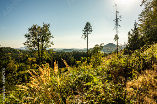 Panoramic view of the Hvozd mountain from Sommerberg, Lusatian Mountains