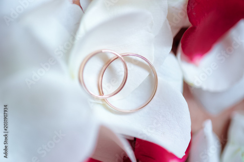 Valokuva Two rose gold wedding rings lie interlocked on soft white flower petals, conveying love, commitment, and elegance