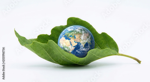 Small Earth Globe Resting Inside Green Leaf Symbolizing Sustainable Nature