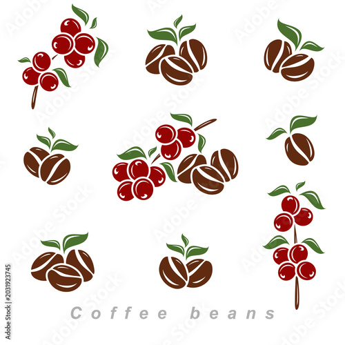 Coffee beans set. Collection icon coffee. Vector