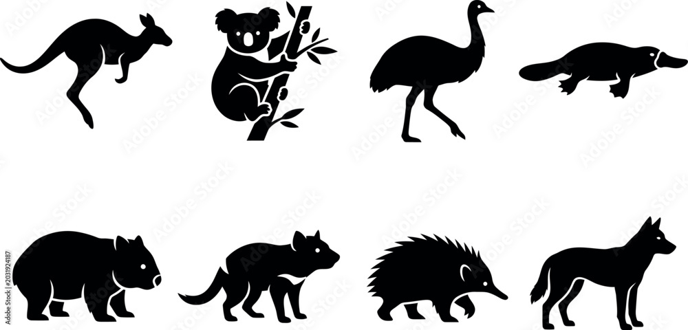 Fototapeta premium Black silhouettes of Australian animals kangaroo wallaby koala wombat echidna cockatoo and possum