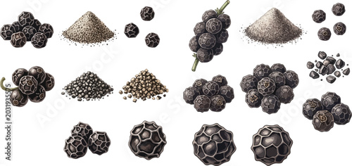Foto Collection of black pepper: whole peppercorns, ground pepper, and detailed close-ups on a white background