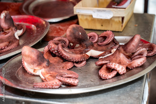 Squid at a market in Palermo