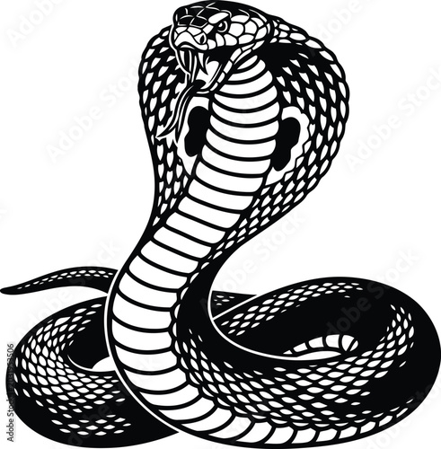 Photos Black and white illustration of a cobra snake
