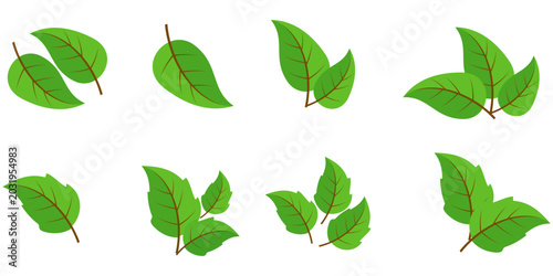 Slika na platnu Leaf illustration in flat style, green leaves, nature theme, forest, garden and trees