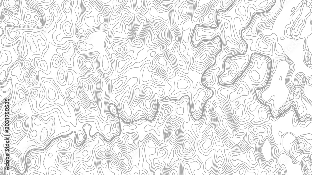 Fototapeta premium Seamless pattern with lines White wave paper curved reliefs. abstract background, Abstract topographic contours map background.