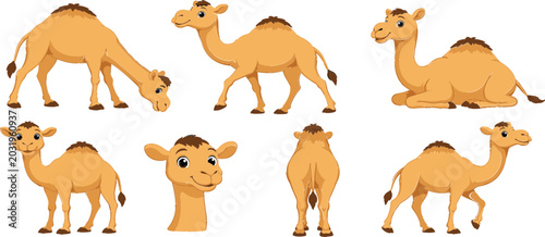 Canvas Print Cute Dromedary Camel Cartoon Character Collection with Different Poses Desert An