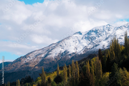 Queenstown, New Zealand: Scenic landscape view of rustic evergreen pine tree forest slopes beneath snow capped Remarkables mountain peaks.