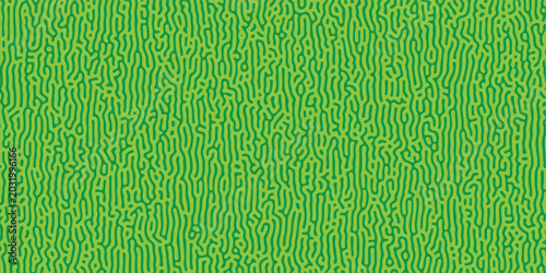 Bilde på lerret Abstract turing pattern background with bright green reaction diffusion maze tex