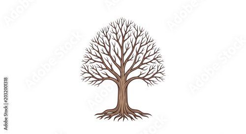 Canvastavla Bare Tree Silhouette Isolated on White Background