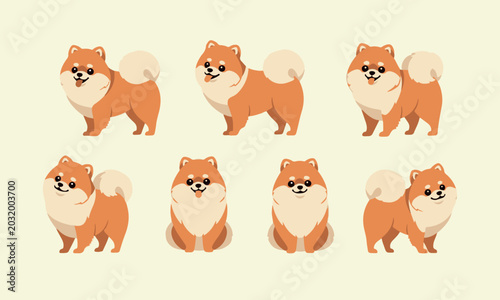 Vector illustration of cute pomeranian dog in different poses set of fluffy cartoon puppy characters