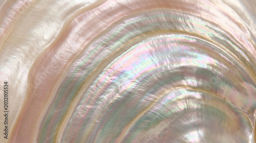 Iridescent mother of pearl shell interior with concentric patterns and soft pastel hues